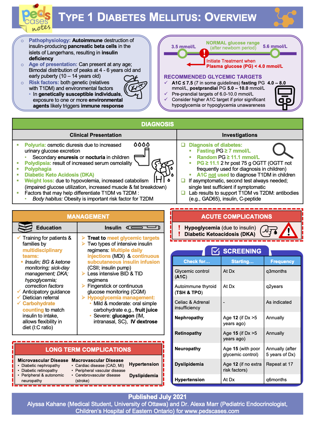 diabetes type 1 education